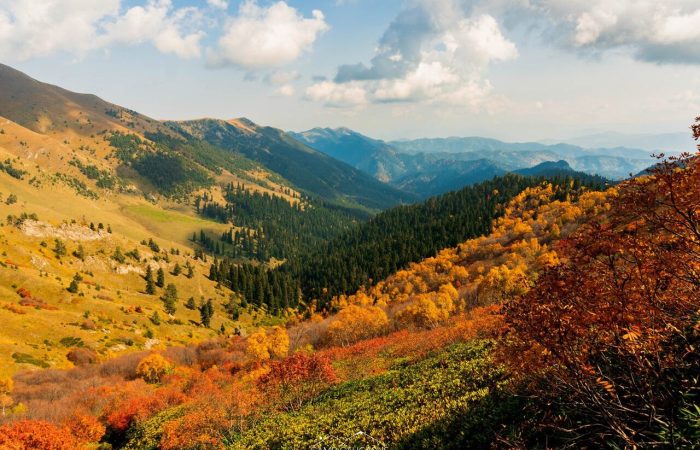 Hiking tour Borjomi-kharagauli national park Georgia