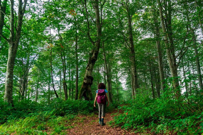 Mtirala georgia adjara hiking camp caucasus tours