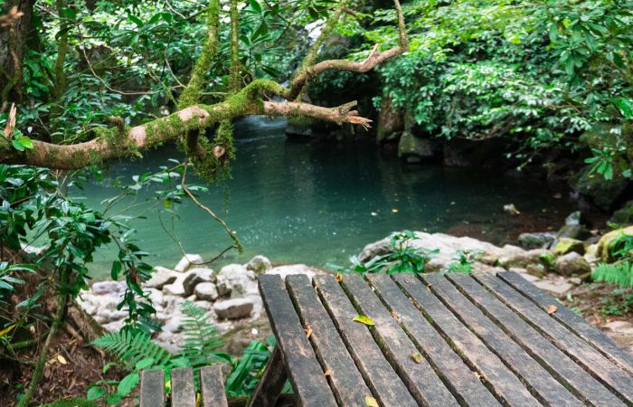 Mtirala georgia adjara hiking camp caucasus tours