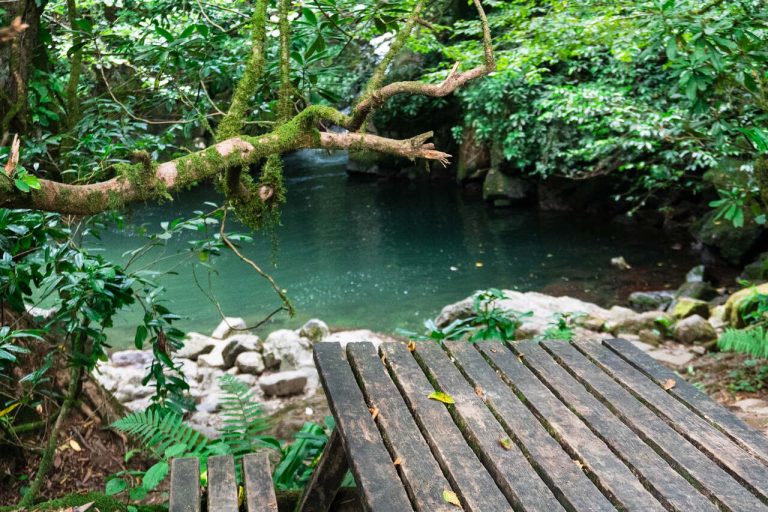 Mtirala georgia adjara hiking camp caucasus tours