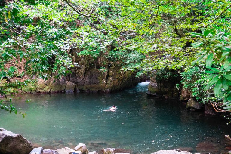 Mtirala georgia adjara hiking camp caucasus tours