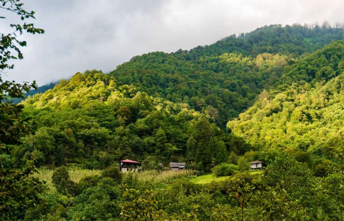 Mtirala georgia adjara hiking camp caucasus tours