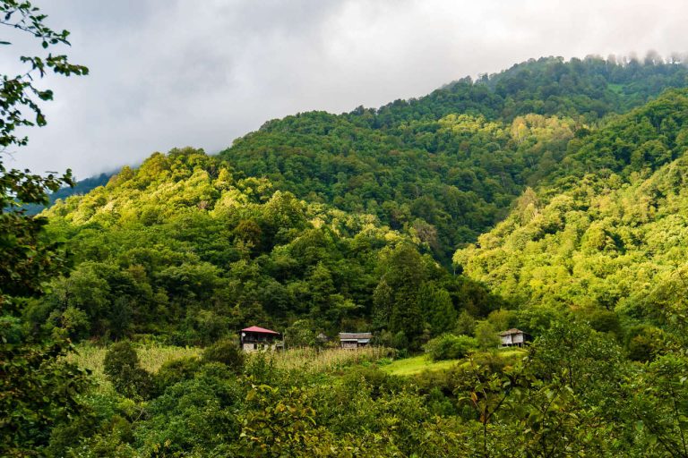 Mtirala georgia adjara hiking camp caucasus tours