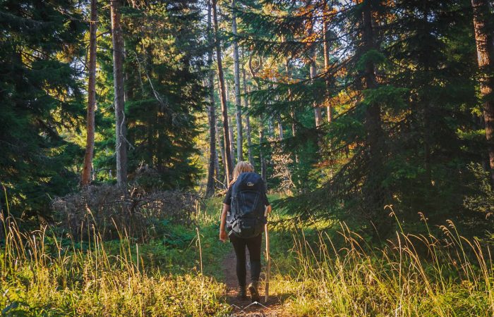 borjomi kharagauli national park hiking tour in georgia (1)