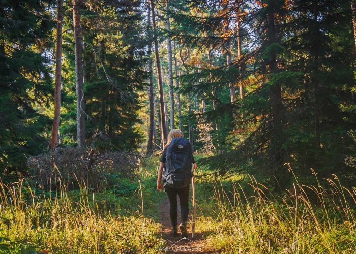 borjomi kharagauli national park hiking tour in georgia (1)