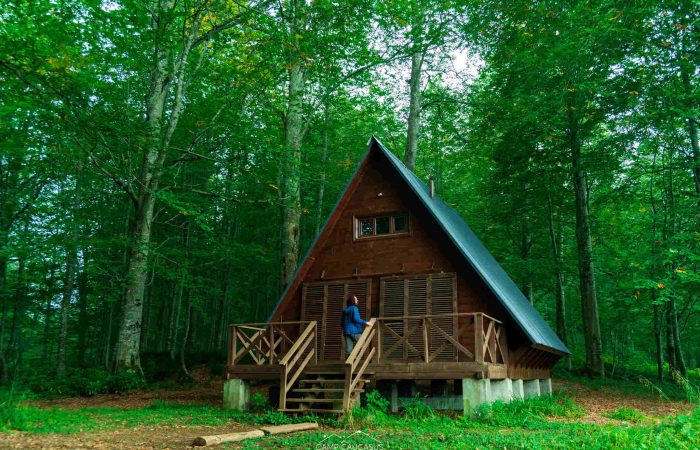 Mtirala georgia adjara hiking camp caucasus tours