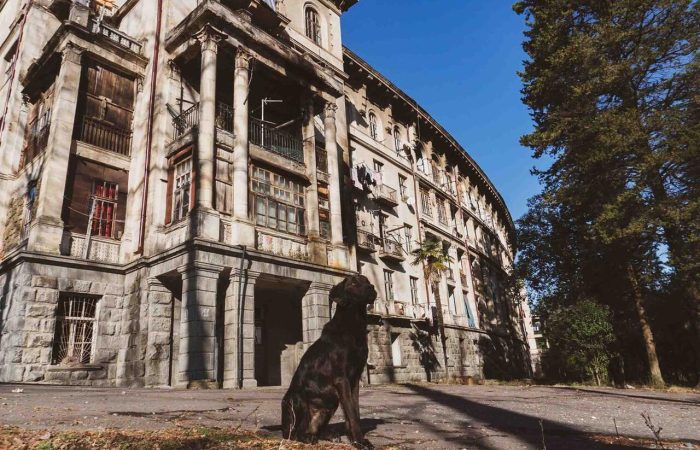 Abandoned Soviet-era sanatorium in Tskaltubo, Georgia with a dog sitting in the foreground, showcasing urban exploration (urbex) of decaying architecture under clear blue sky