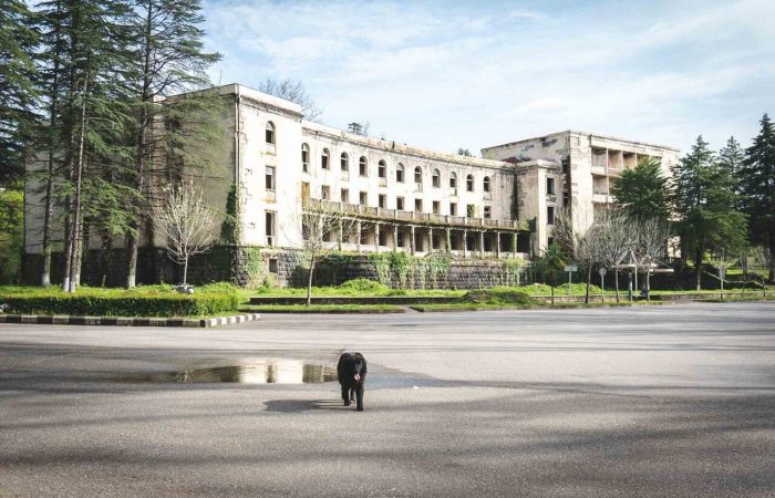 Small black dog walking on an empty square in front of an abandoned Soviet-era sanatorium surrounded by trees in Tskaltubo, Georgia — historic architecture, urban exploration, and travel destination