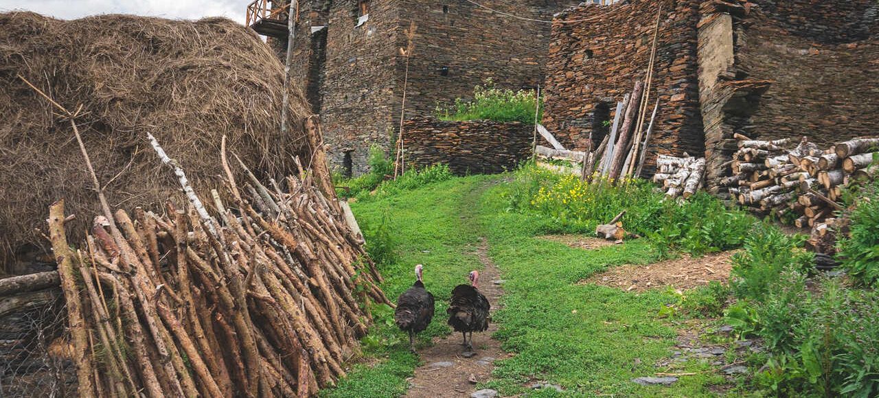 tusheti chigho tour self guided camp caucasus hiking (18)