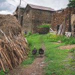 tusheti chigho tour self guided camp caucasus hiking (18)