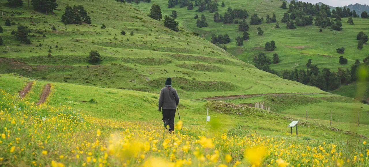 tusheti diklo tour self guided camp caucasus hiking (13)