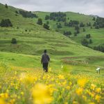 tusheti diklo tour self guided camp caucasus hiking (13)