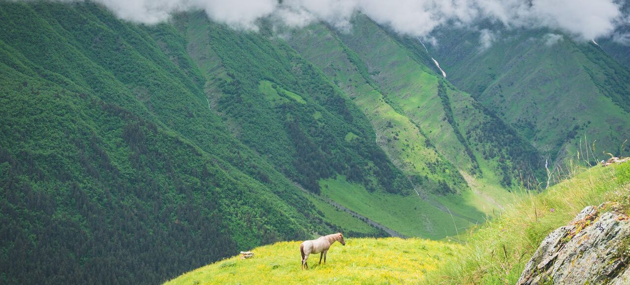 tusheti kvavlo tour self guided camp caucasus hiking (27)