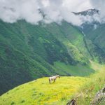 tusheti kvavlo tour self guided camp caucasus hiking (27)