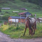 tusheti omalo tour self guided camp caucasus hiking (3)