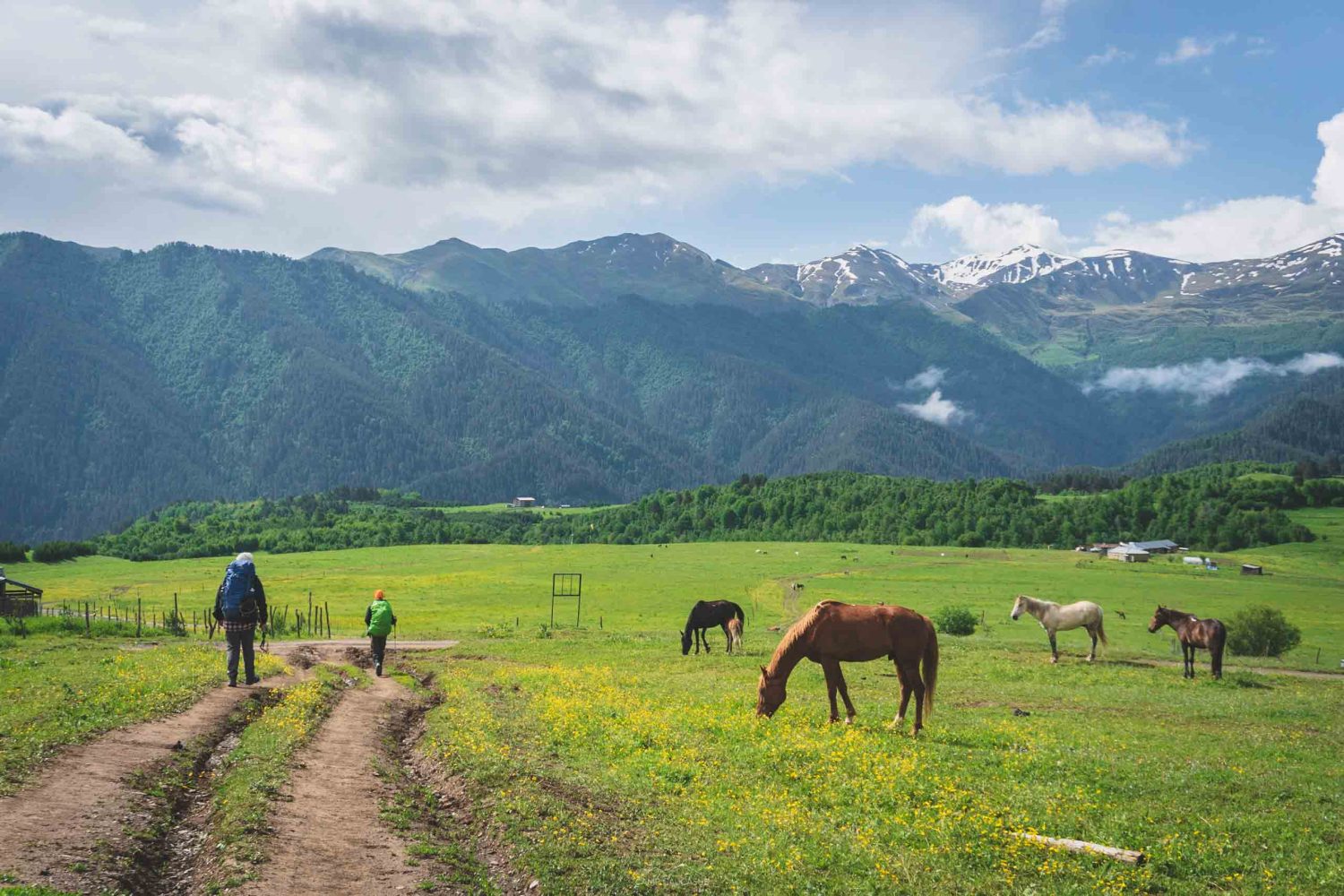 tusheti omalo tour self guided camp caucasus hiking (6)