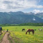 tusheti omalo tour self guided camp caucasus hiking (6)
