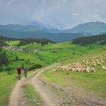 tusheti tour shenako self guided camp caucasus hiking
