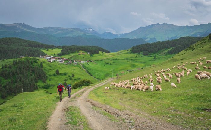 tusheti tour shenako self guided camp caucasus hiking
