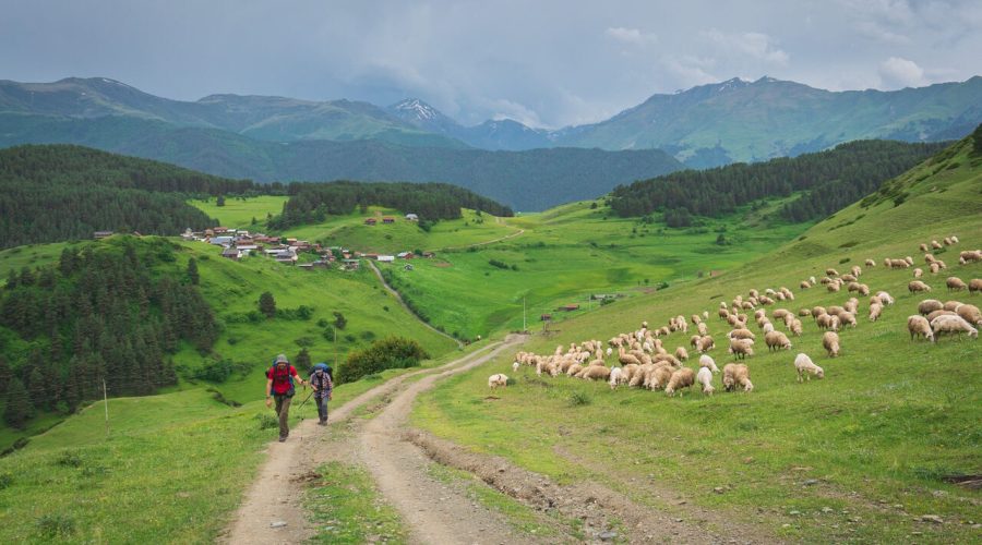 tusheti tour shenako self guided camp caucasus hiking