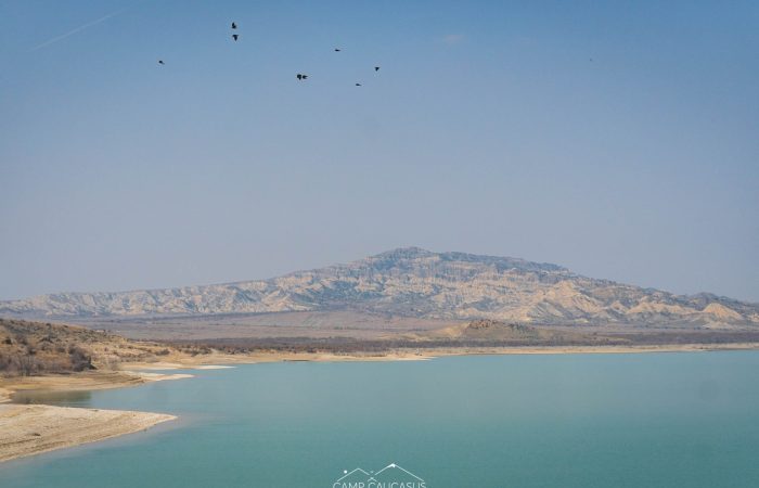 Birds flying over Dali Mountain and turquoise reservoir in Vashlovani National Park, Georgia