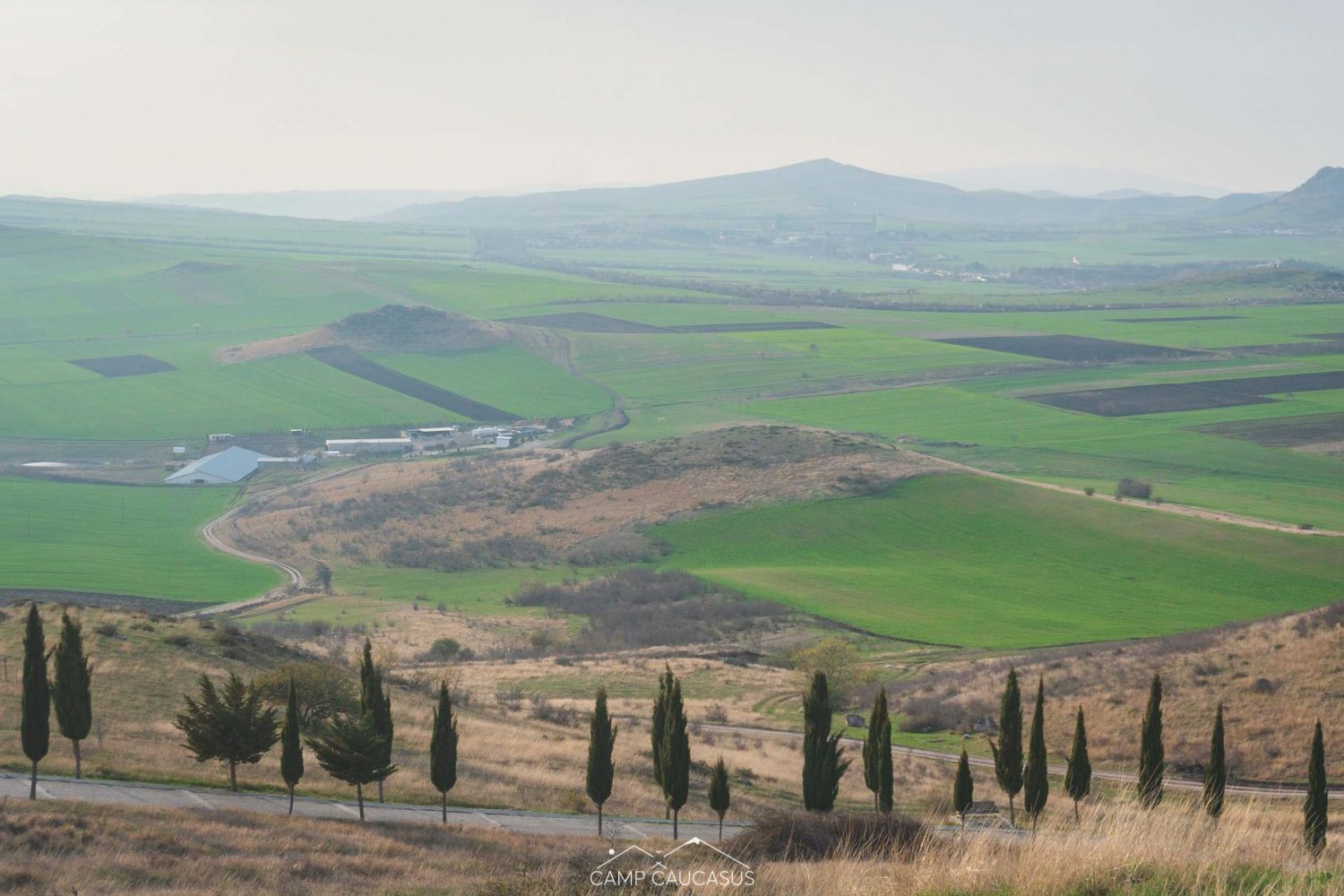 Scenic view of Kakheti farmland with cypress-lined road in southeastern Georgia