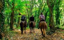 Horse-riding-tour-Lagodekhi-nati