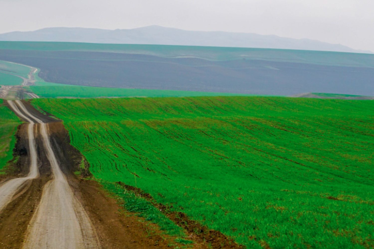 vashlovani georgia camp caucasus tours kakheti