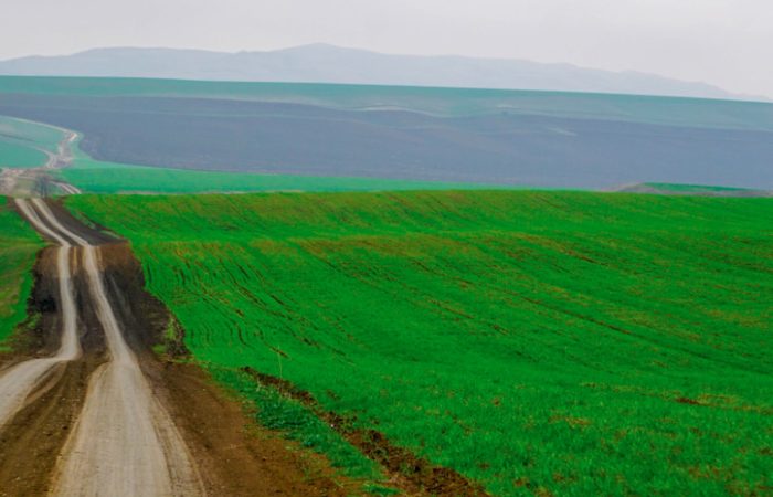 vashlovani georgia camp caucasus tours kakheti