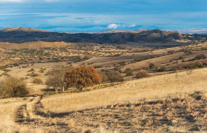 vashlovani georgia camp caucasus tours kakheti