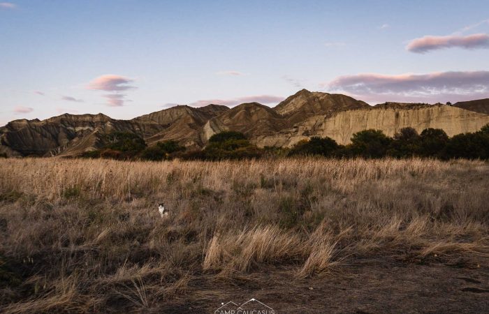 vashlovani georgia camp caucasus tours kakheti