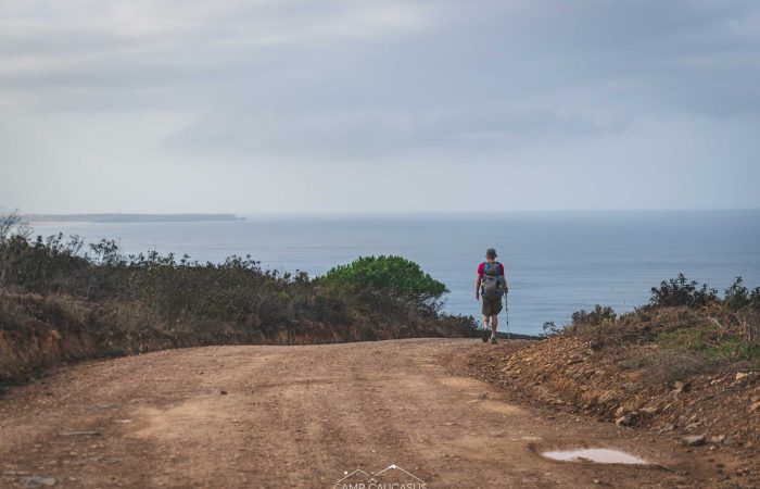 Coastal cliffs and beaches near Carrapateira on the Fisherman’s Trail, Portugal.