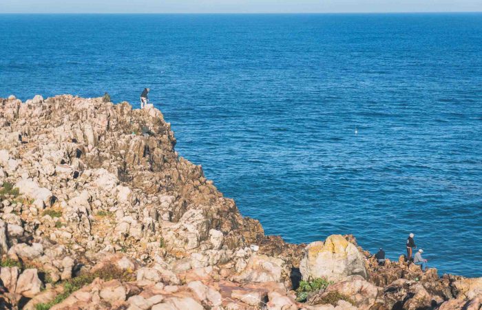 Coastal cliffs and Atlantic views on the Fisherman’s Trail from Carrapateira to Vila do Bispo.