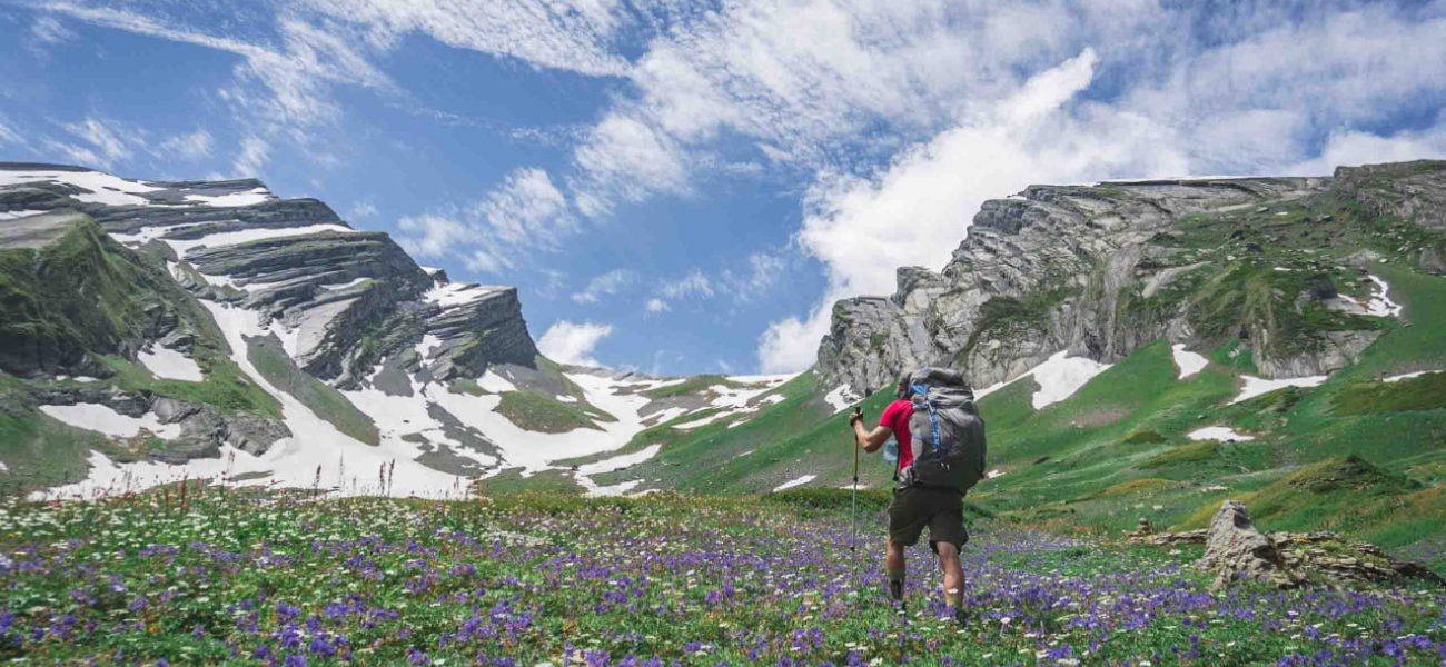 A hiker with a backpack trekking through a blooming alpine meadow in the Caucasus mountains during a Camp Caucasus adventure tour.